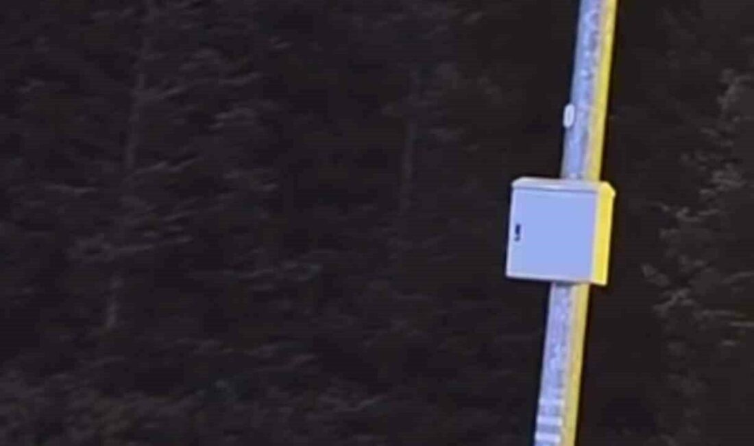 Uludağ’da kış uykusuna yatmayan ayılar, çöp konteynerlerini talan etti Bursa’nın Uludağ bölgesinde kış uykusuna yatmayan ayılar, çöp konteynerlerini devirerek