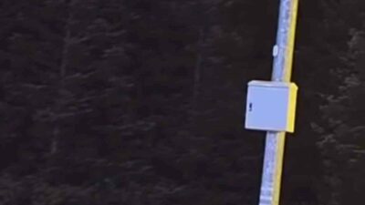 Bursa’nın Uludağ bölgesinde kış uykusuna yatmayan ayılar, çöp konteynerlerini devirerek