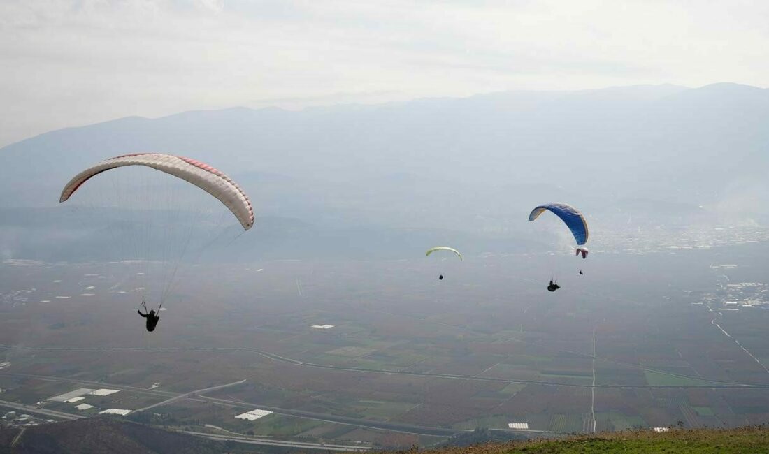 Bursa’nın Gürsu ilçesinde Temmuz ayında yanan yüzlerce hektarlık ormanlık alan