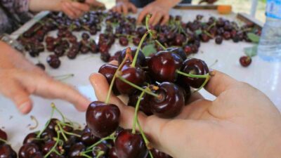 Türk Patent ve Marka Kurumu (TPE) Coğrafi İşaretler Dairesi Başkanı Hakan Kızıltepe, ilk