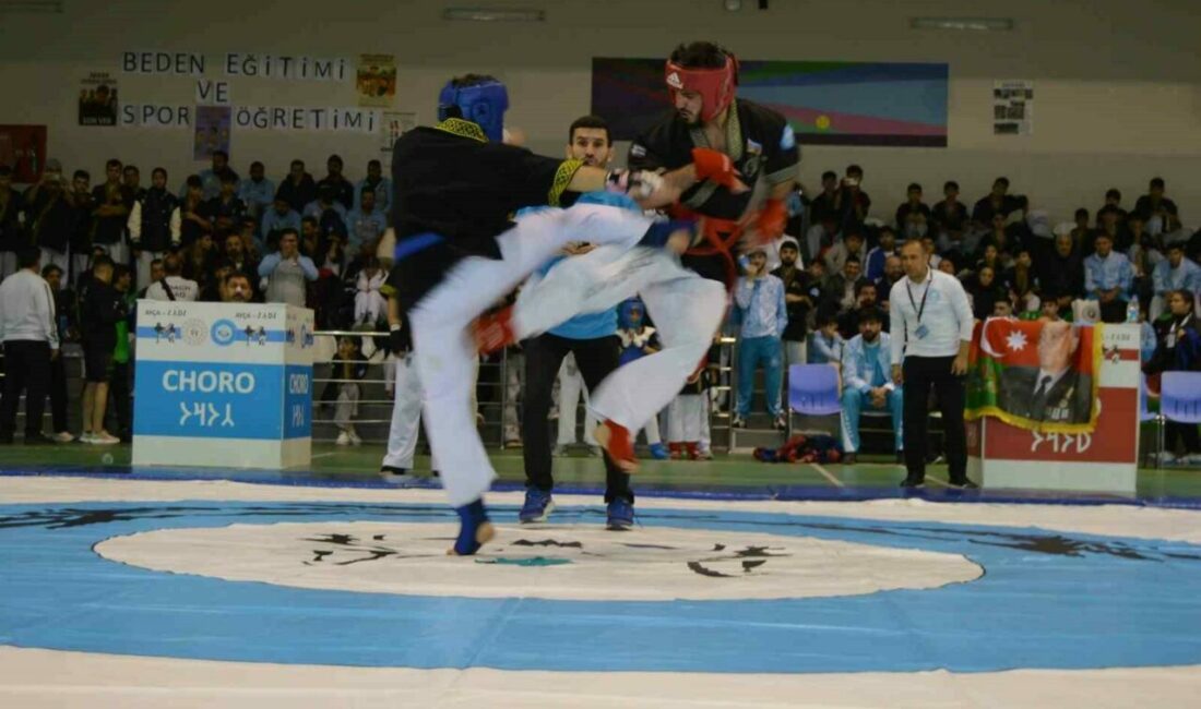 Bursa’da düzenlenen 5. Dünya Alpagut (Turan Savaş Sanatı) Şampiyonası sona