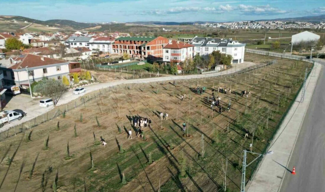 572 fidanlı koruluk Akhisan’a nefes olacak İnegöl Belediyesi Akhisar Mahallesi Akkanal Sokak’ta 2 parçadan oluşan toplam