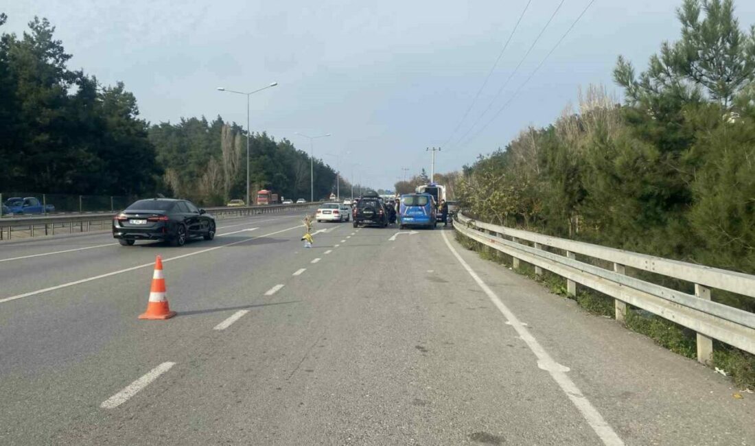 Bursa’dan Mudanya’ya seyir halinde olan bir otomobilin bisikletliyle çarpışması sonucu