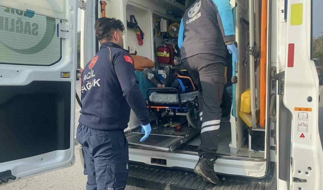 Bursa’dan Mudanya’ya seyir halinde olan bir otomobilin bisikletliyle çarpışması sonucu