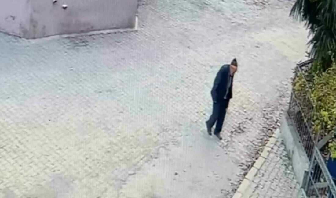 Bursa’nın Mudanya ilçesine bağlı Evciler Mahallesi’nde 10 gün önce ot