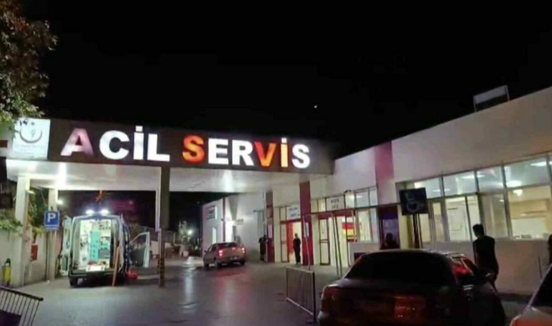 Bursa’nın Osmangazi ilçesinde baba ile oğlu arasında çıkan tartışma bıçaklı