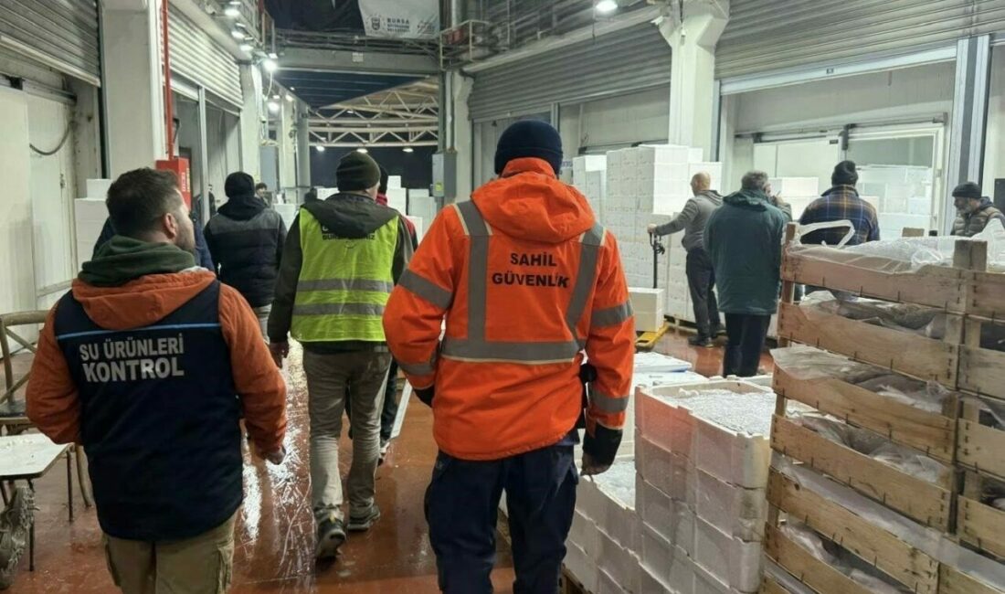 Bursa’da balık halinde gece operasyonu…615 kilo istavrite el konuldu Bursa’da balık haline şafak vakti operasyon yapıldı. Boyları belirlenen standartların