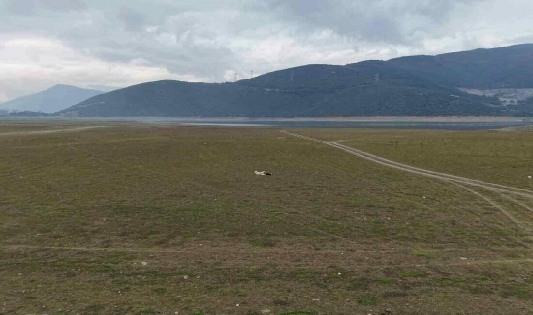 Bursa’nın şeftali, armut, siyah incir ve kiraz gibi önemli tarım ürünlerinin