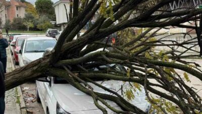 Bursa’da araçların üzerine devrilen ağaç korku dolu anlar yaşatırken, sadece