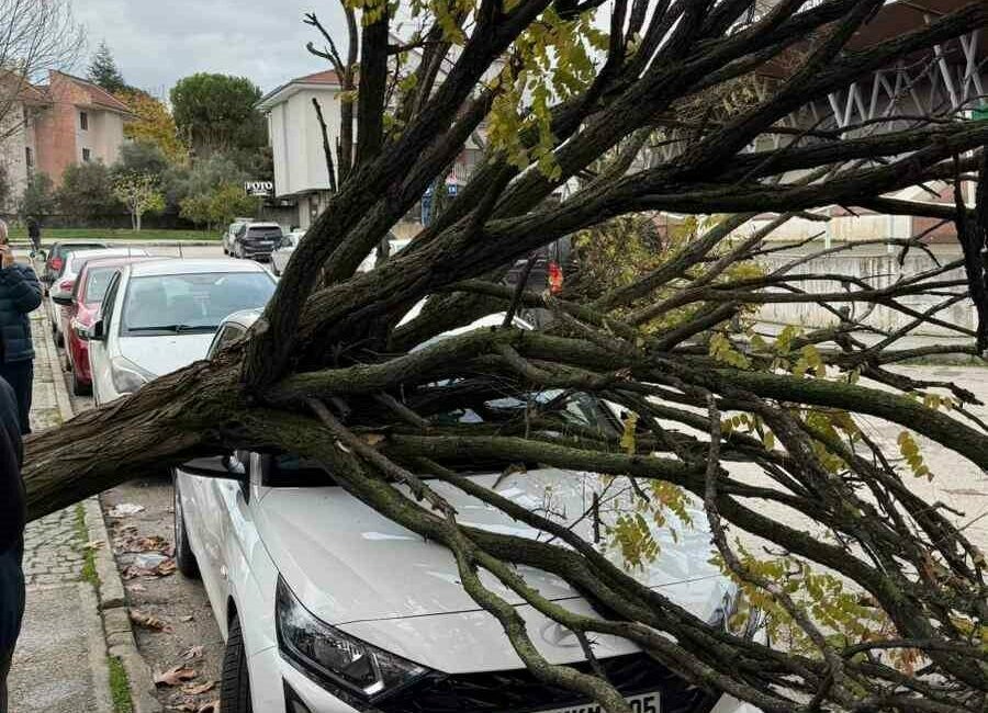 Bursa’da araçların üzerine devrilen ağaç korku dolu anlar yaşatırken, sadece