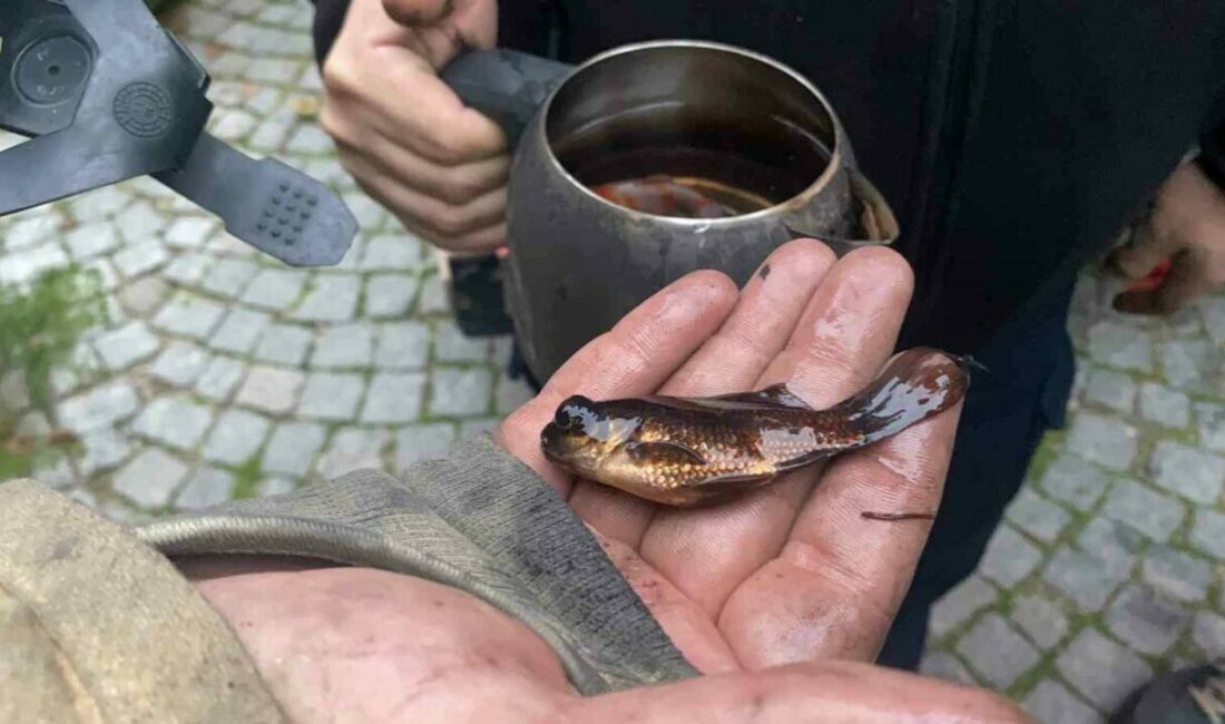 Bursa’nın Mudanya ilçesinde bir evde akvaryumdan kaynaklı çıkan yangın, itfaiyenin