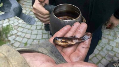 Bursa’nın Mudanya ilçesinde bir evde akvaryumdan kaynaklı çıkan yangın, itfaiyenin