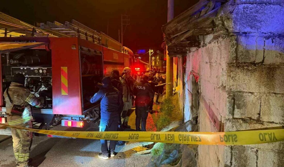 Bursa’nın İznik ilçesinde tek katlı müstakil evde çıkan yangında 1