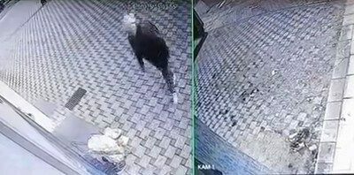 Bursa’da pazar yerinin yakınında bırakılan pazar arabalarını çalan şüpheliler güvenlik