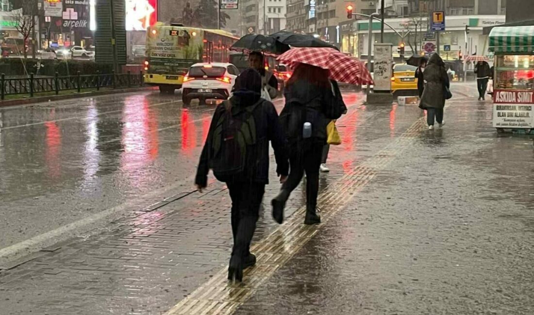 Bursa merkez ile Yenişehir, Karacabey, Mustafakemalpaya gibi tarımın yoğun olduğu