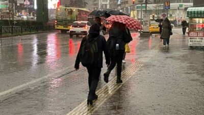 Bursa merkez ile Yenişehir, Karacabey, Mustafakemalpaya gibi tarımın yoğun olduğu