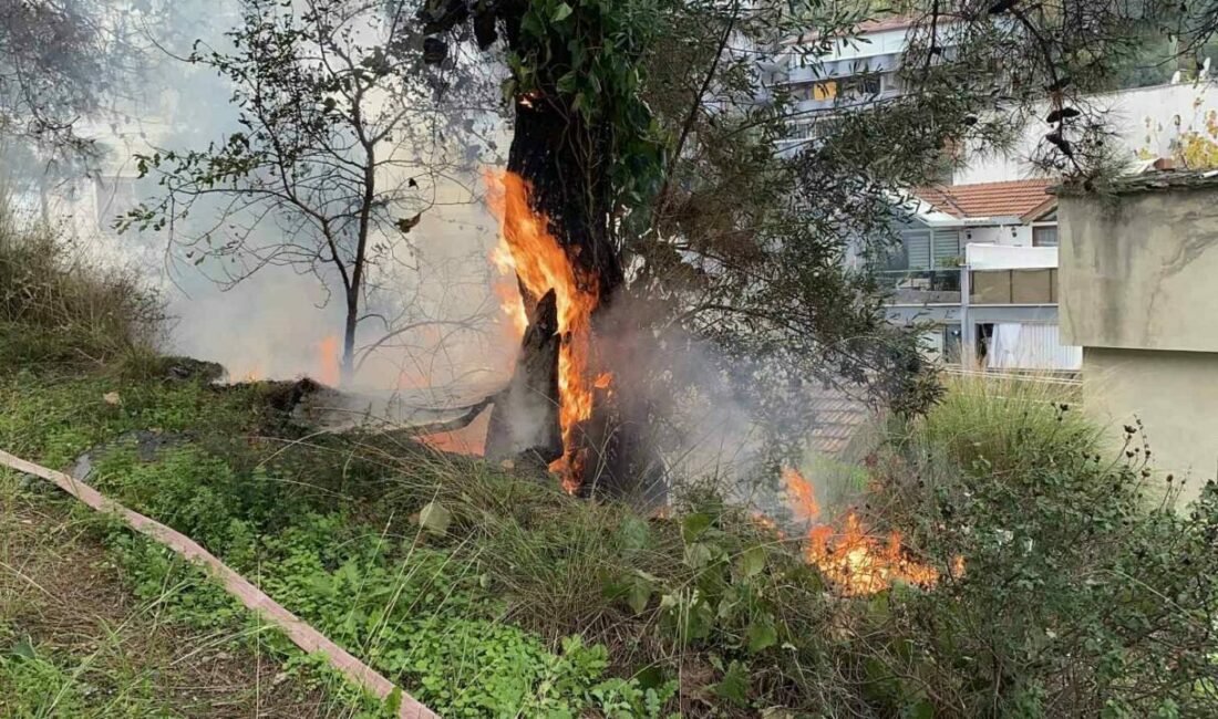 Çamlık alanda çıkan yangın büyümeden söndürüldü Bursa’nın Mudanya ilçesindeki çamlık alanda çıkan yangın, büyümeden söndürüldü. Yangın,
