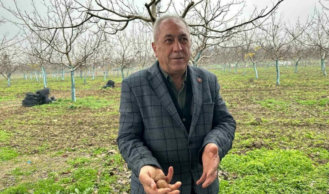 Bursa’nın İnegöl ilçesinin kırsal Konurlar Mahallesi’nde 20 yıl önce başlayan