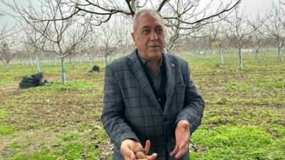 Bursa’nın İnegöl ilçesinin kırsal Konurlar Mahallesi’nde 20 yıl önce başlayan