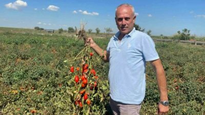 Bursa’nın Karacabey ilçesinde 1968 yılında doğan Seçim Gezegen, dünyaya geldiği gün