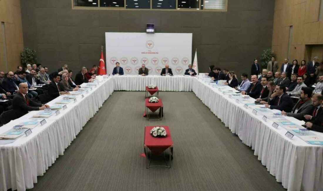 Bursa, Balıkesir, Çanakkale ve Yalova illerinin sağlık hizmetleri sorunlarının ele