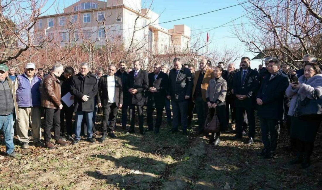 Gürsu Belediyesi’ne bağlı Gürsu Tarımsal Araştırmalar Merkezi (GÜRTAM) tarafından yürütülen