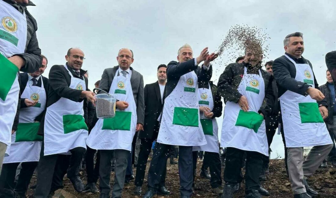 Bursa’nın Harmancık ilçesinde yaz aylarında çıkan orman yangınında zarar gören