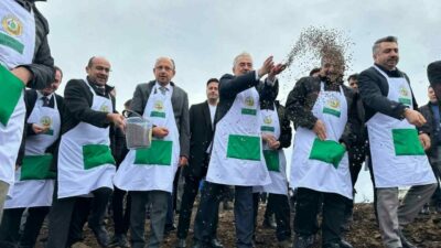 Bursa’nın Harmancık ilçesinde yaz aylarında çıkan orman yangınında zarar gören