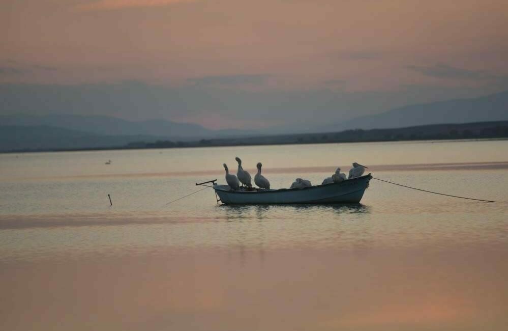 Manyas Barajı ve Gölü’ndeki su çekilmeleri sebebiyle Bursa’nın Karacabey ilçesinde