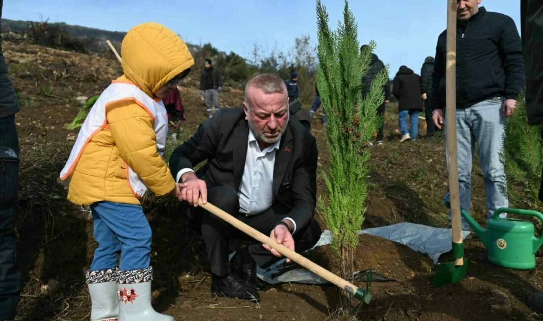 Karacabey’de geçtiğimiz Eylül ayında 35 hektarlık alanı küle çeviren yangının