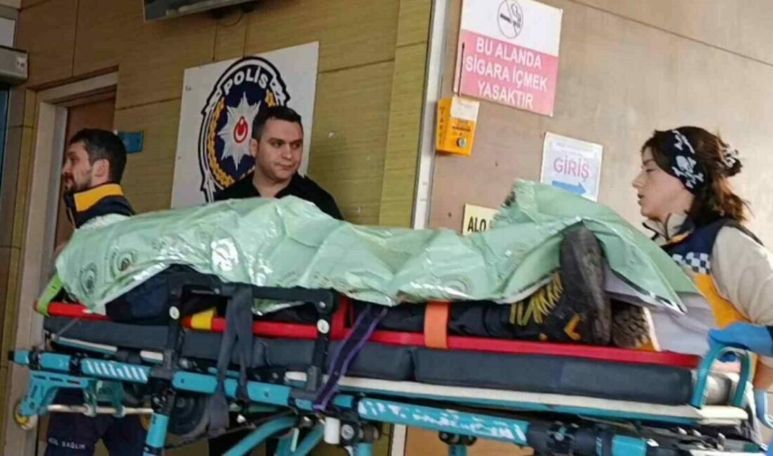 Bursa’nın İnegöl ilçesinde meydana gelen kazada bir otomobil, evin bahçe