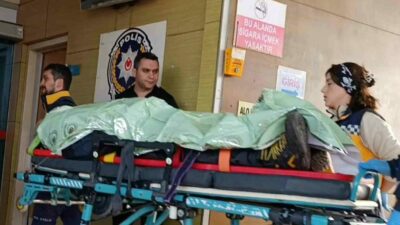 Bursa’nın İnegöl ilçesinde meydana gelen kazada bir otomobil, evin bahçe