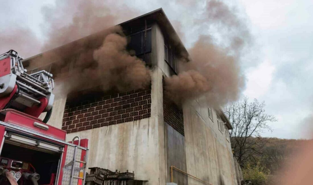 Bursa’nın İnegöl ilçesinde meyve kasalarının bulunduğu 2 katlı apartmanın, 1’inci