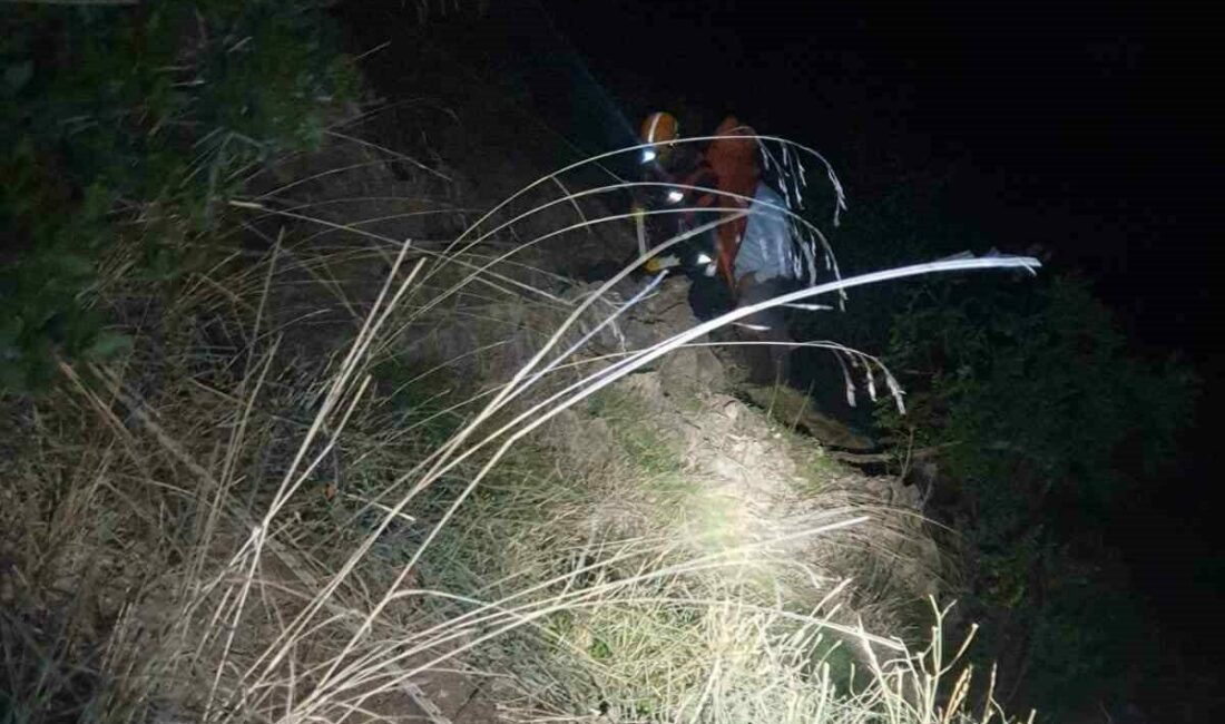 Bursa’nın Gürsu ilçesinde ormanlık alanda mahsur kalan bir kişi, itfaiye,