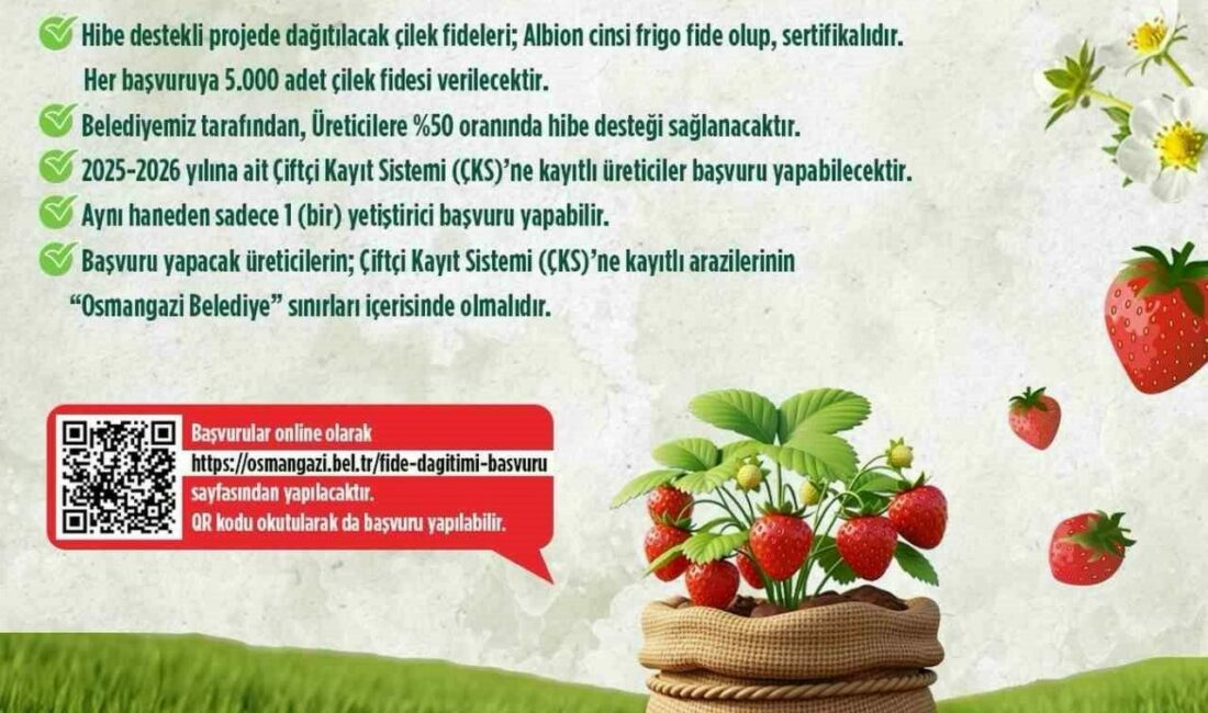 Osmangazi Belediyesi, tarımsal üretimi desteklemek ve yerel üreticiye katkı sağlamak