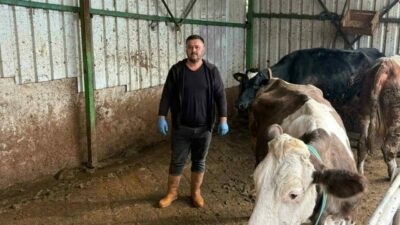 Bursa’nın Yenişehir ilçesinde hayvancılıkla uğraşan ve şap nedeniyle 1,5 milyon lira kaybı