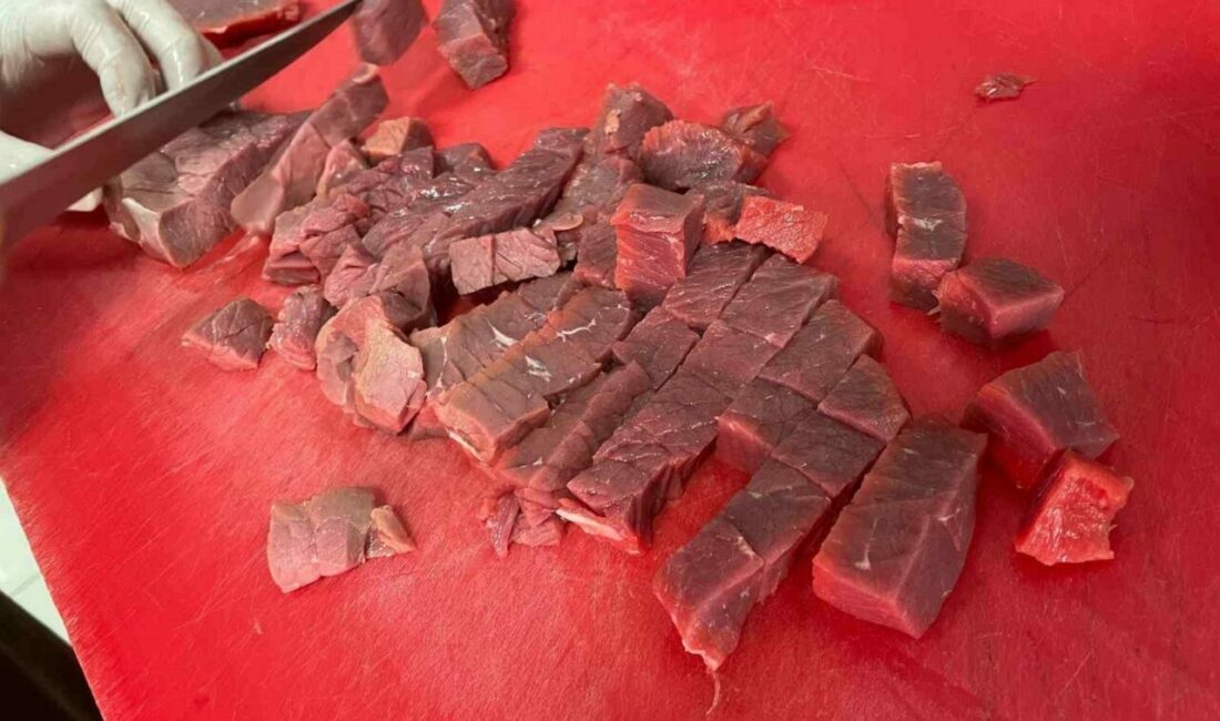 Şap hastalığı salgını nedeniyle dana ve sığırların yaz aylarında kesime gitmesi