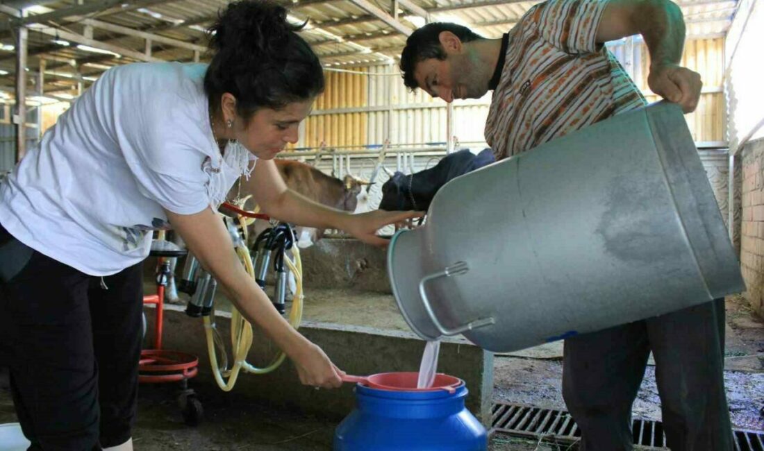 Tüm Süt, Et ve Damızlık Sığır Yetiştiricileri Derneği (TÜSEDAD) Başkanı