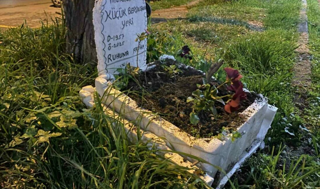Taksicilerden vefa…Ölen muhabbet kuşları için mini mezar yaptılar Bursa’nın Mudanya ilçesinde taksi durağı sakinleri, Berduş adını verdikleri muhabbet