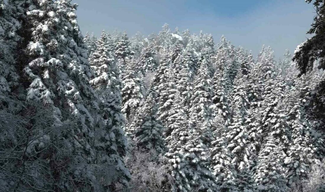 Uludağ’da göz gözü görmüyor Uludağ’ın zirvesinde etkili olan sis görüş mesafesini 5 metreye kadar