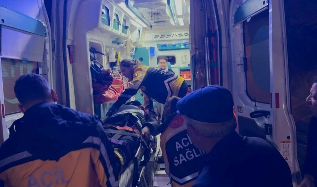 Balıkesir’in Bandırma istikametinden Karacabey yönüne seyir halinde olan 16 FCE