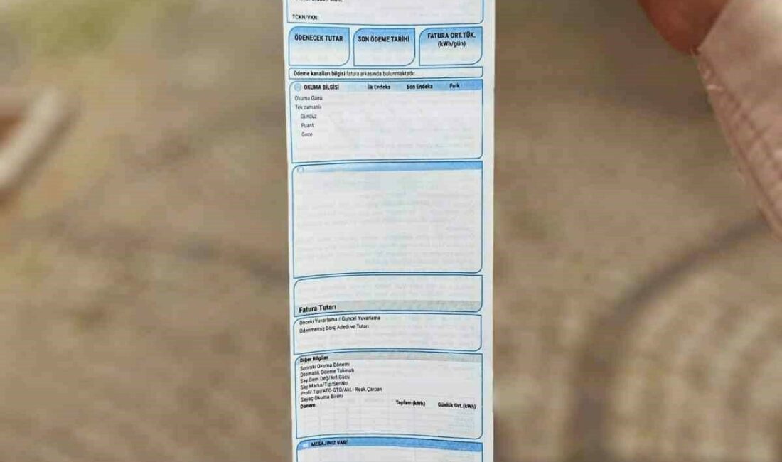 Yardımsever iş insanı, binden fazla abonenin elektrik faturasını ödedi Türkiye’nin farklı bölgelerinde ihtiyaç sahibi ailelere yönelik sosyal dayanışma örnekleri