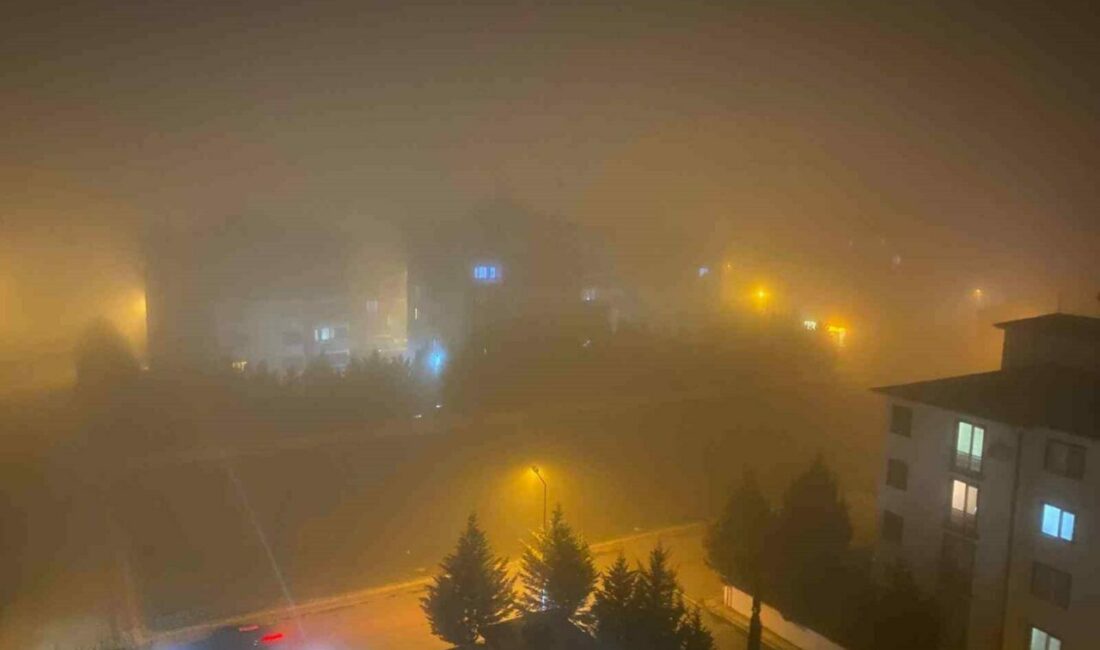 Yenişehir’de sis etkili oldu, görüş mesafesi 1 metreye kadar düştü Bursa’nın Yenişehir ilçesinde akşam saatlerinde etkili olan yoğun sisten dolayı