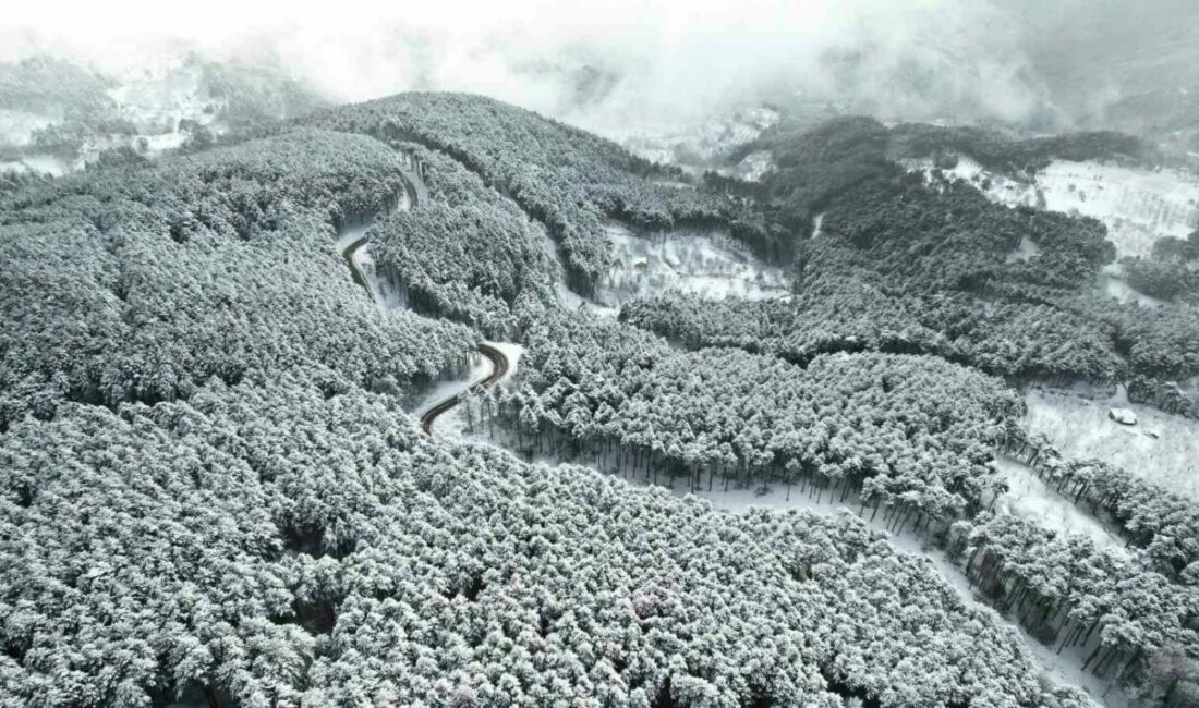 Bursa’da, Uludağ’ın virajlı yolları dron ile havadan görüntülendi. Doğayla iç
