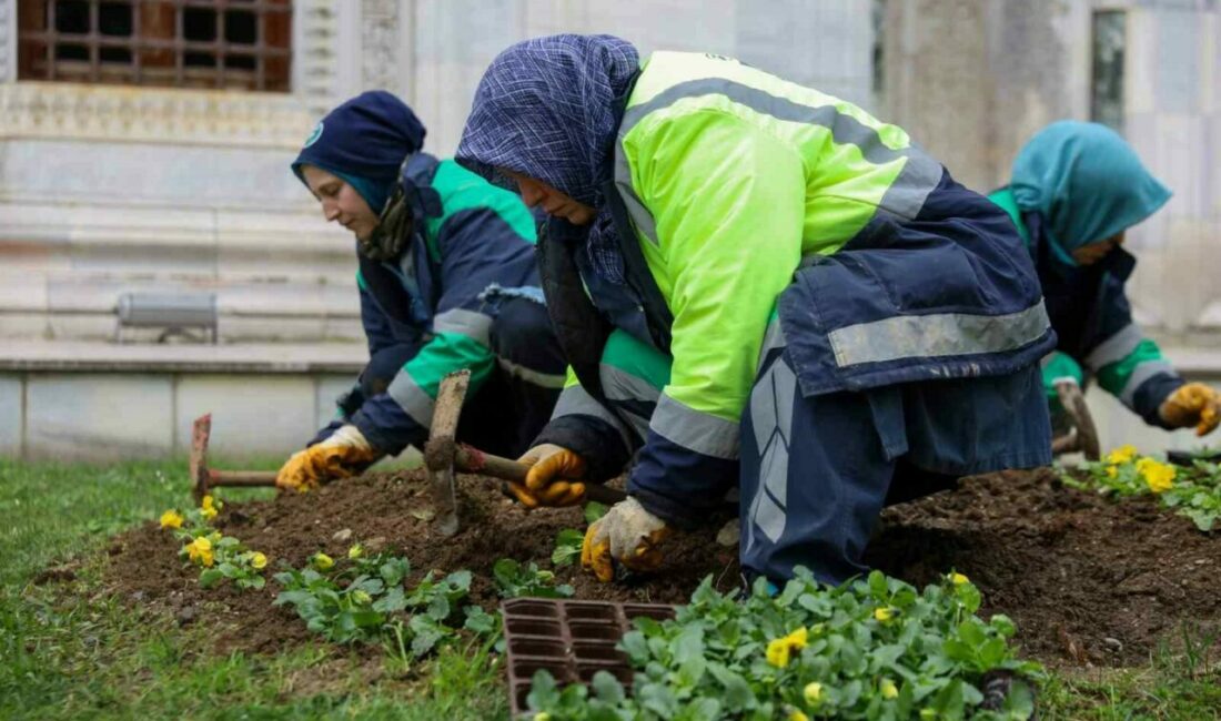 Bursa kışın da çiçek bahçesine dönüşüyor Bursa Büyükşehir Belediyesi, bir taraftan kentin tarihi ve kültürel mirasını