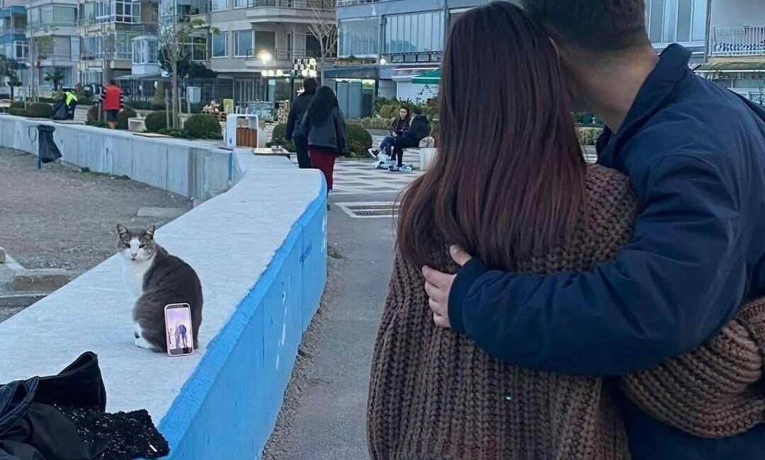 Bursa sahilinde ilginç fotoğraf çözümü: Tripod yerine kedi kullandılar Bursa’nın Mudanya ilçesinde sahilde fotoğraf çektirmek isteyen bir çift, çevrede