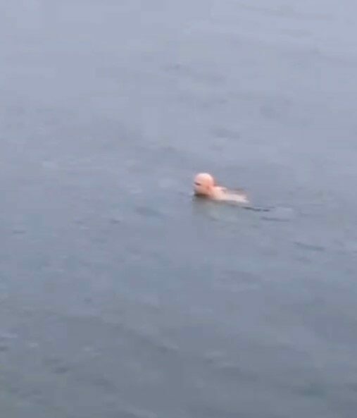 Bursa’nın Mudanya ilçesinde hava sıcaklığının sıfırın altında seyrettiği sabah saatlerinde