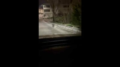 Bursa’nın Nilüfer ilçesi Üçevler Mahallesi’nde gece saatlerinde kaydedilen görüntüler, yerleşim