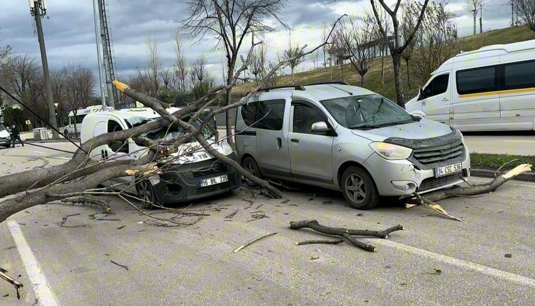 Bursa’da seyir halindeki araçların üzerine ağaç devrildi Bursa’da etkili lodos, refüjdeki ağaçları devirdi. Devrilen ağaçlar seyir halindeki