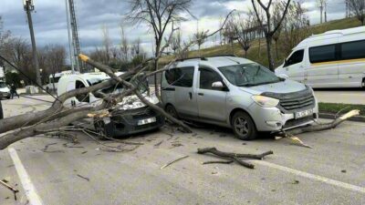 Bursa’da etkili lodos, refüjdeki ağaçları devirdi. Devrilen ağaçlar seyir halindeki